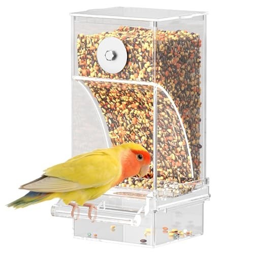 Automatic mess acrylic bird - no-mess,