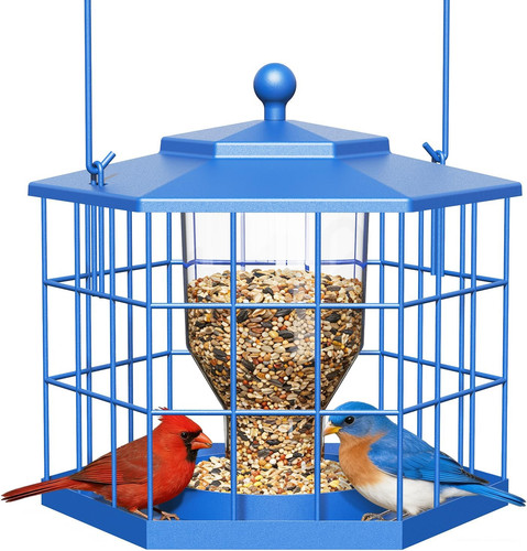 Squirrel proof bird feeders - squirrel,