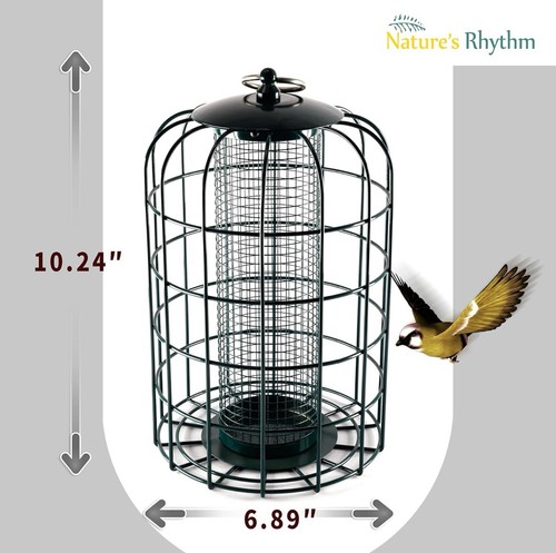 Outdoor hanging bird - outdoor,