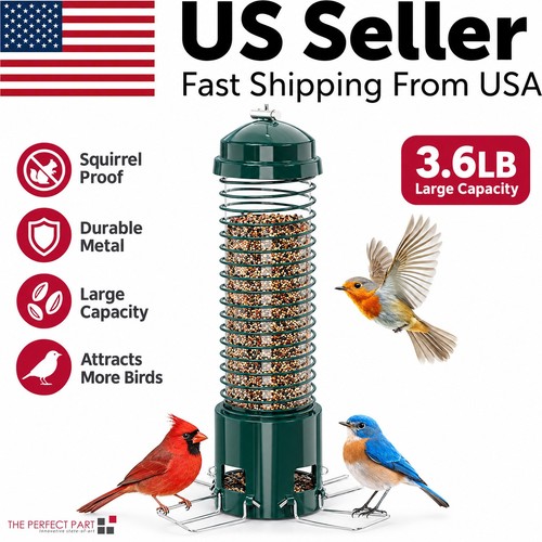 Squirrel proof bird - proof, feeder